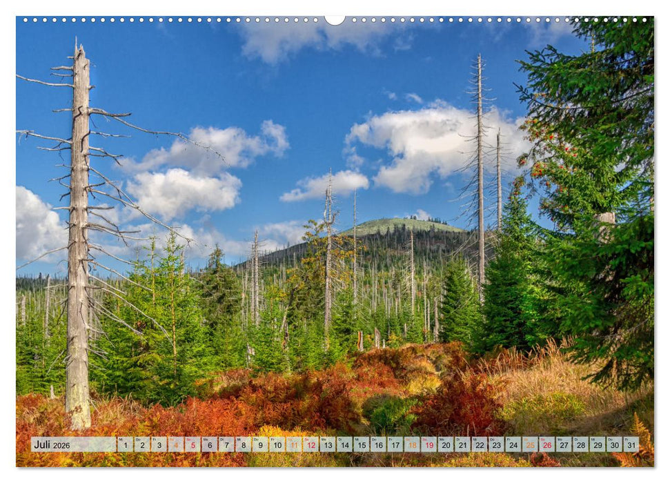 Bayer-Woid-Buidl (CALVENDO Premium Wandkalender 2026)