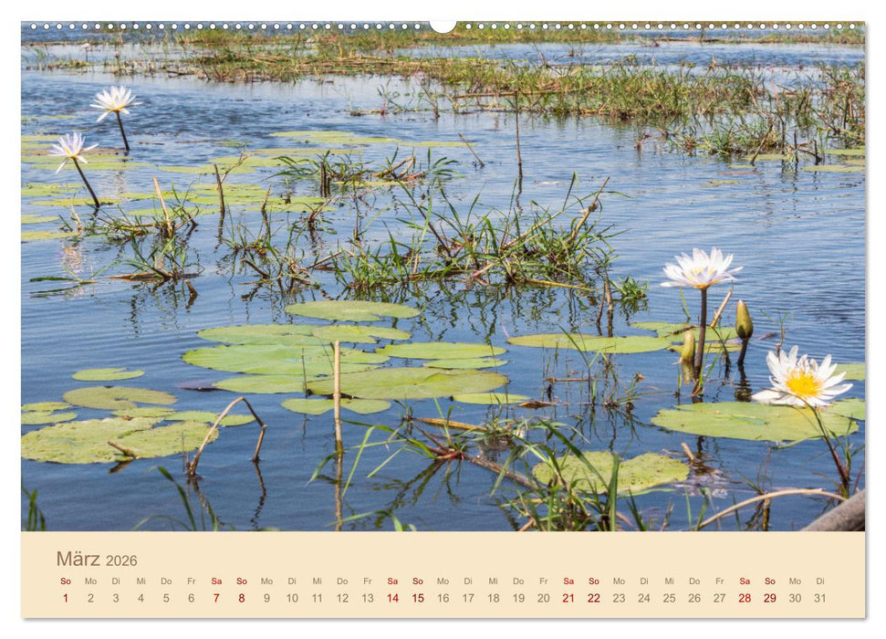 Einmalige Landschaften in Afrika (CALVENDO Wandkalender 2026)