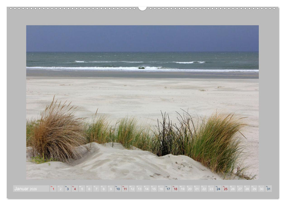 Juist - Kleine Insel, Große Freiheit (CALVENDO Premium Wandkalender 2026)