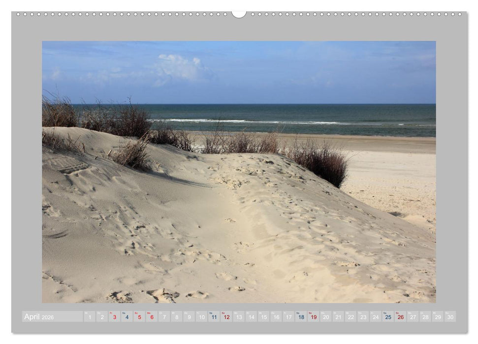 Juist - Kleine Insel, Große Freiheit (CALVENDO Premium Wandkalender 2026)