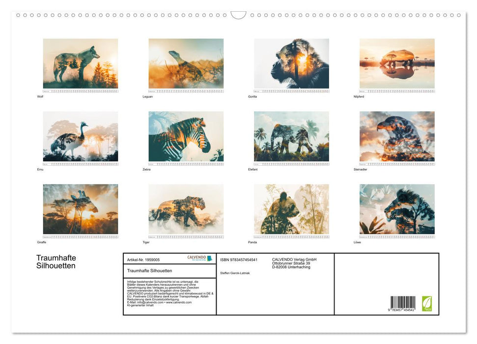 Traumhafte Silhouetten (CALVENDO Wandkalender 2026)