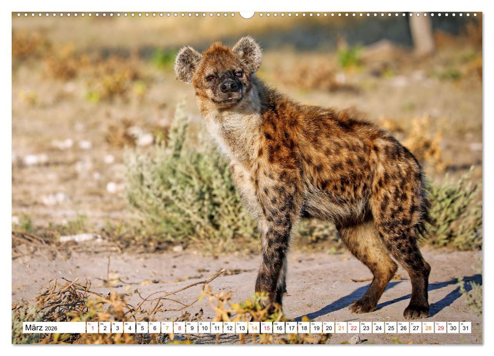 AUF BEUTEZUG (CALVENDO Premium Wandkalender 2026)