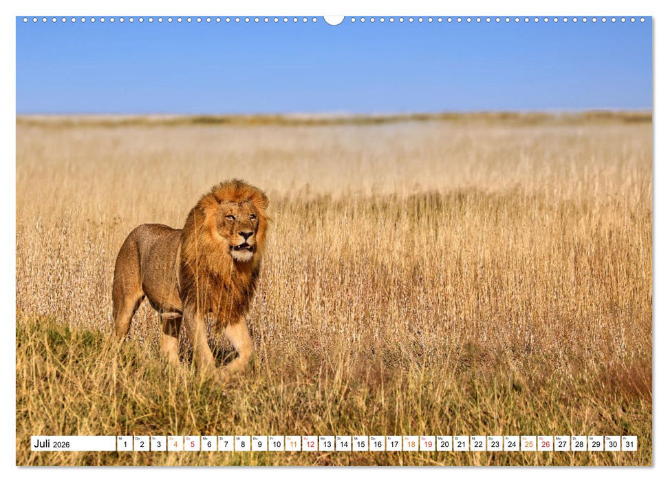 AUF BEUTEZUG (CALVENDO Premium Wandkalender 2026)