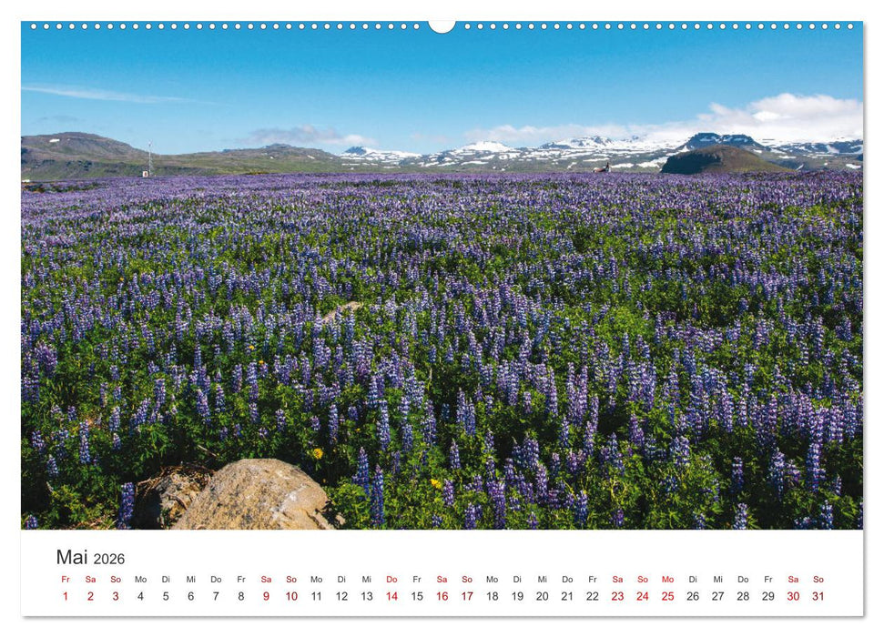 Sommer in Island (CALVENDO Premium Wandkalender 2026)
