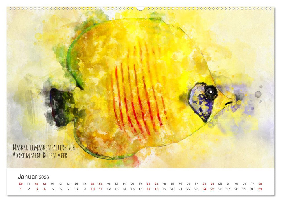 Exotische Fische - Die schönsten Fische der Welt in Aquarell (CALVENDO Premium Wandkalender 2026)