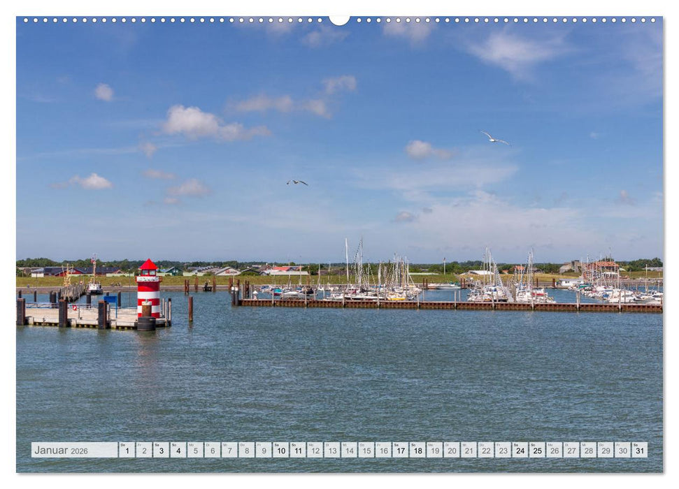 Föhr - Nordfriesische Insel Impressionen (CALVENDO Premium Wandkalender 2026)