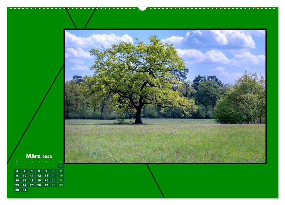 Heilende Farbe Grün (CALVENDO Premium Wandkalender 2026)