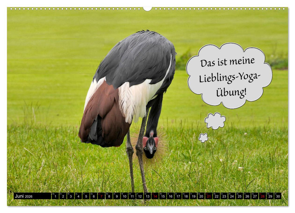 Wenn Tiere sprechen könnten! Der lustige Sprüche Kalender (CALVENDO Premium Wandkalender 2026)