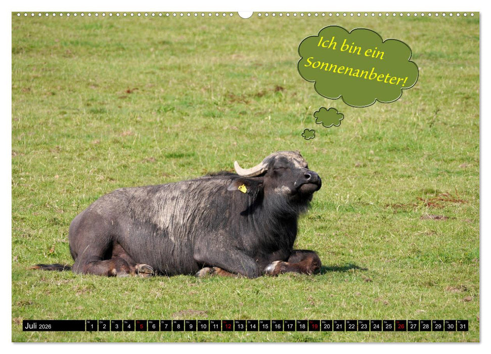 Wenn Tiere sprechen könnten! Der lustige Sprüche Kalender (CALVENDO Premium Wandkalender 2026)