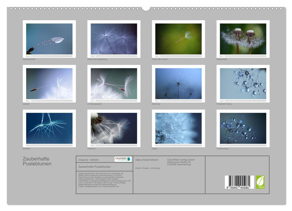 Zauberhafte Pusteblumen (CALVENDO Premium Wandkalender 2026)