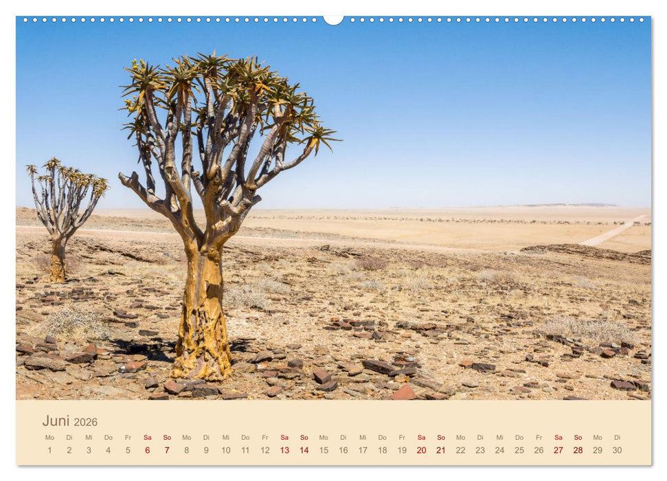 Einmalige Landschaften in Afrika (CALVENDO Premium Wandkalender 2026)