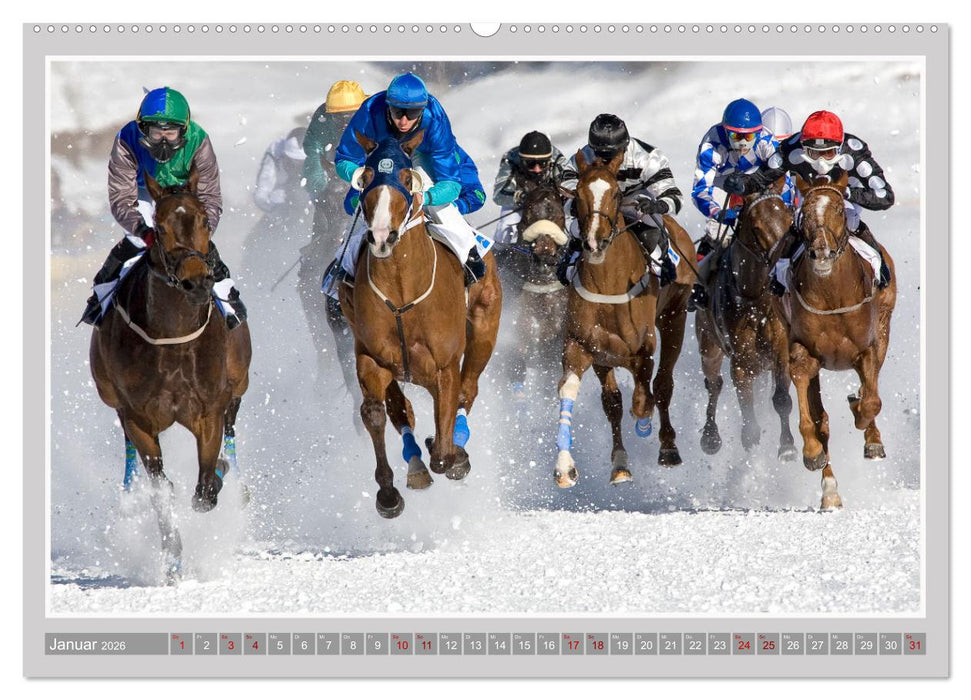 Pferde-Rennen auf Schnee und im Wasser (CALVENDO Premium Wandkalender 2026)