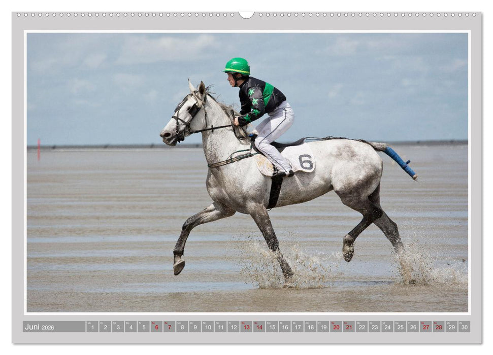 Pferde-Rennen auf Schnee und im Wasser (CALVENDO Premium Wandkalender 2026)