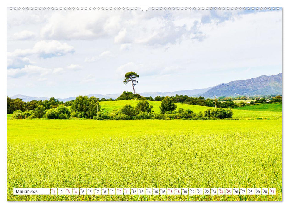Mallorca Meine Liebe (CALVENDO Premium Wandkalender 2026)