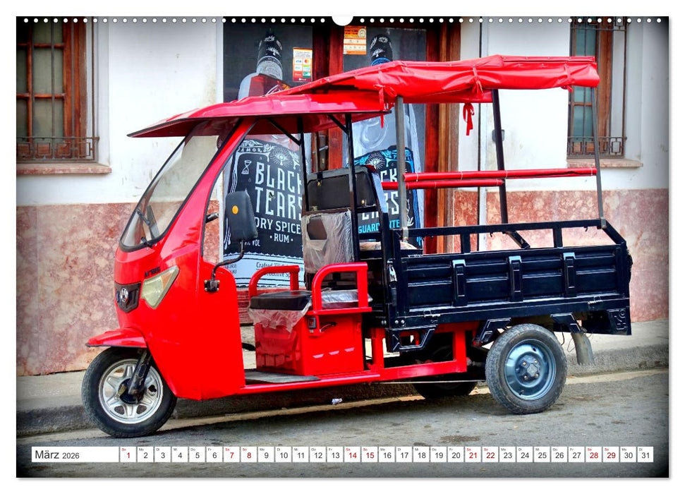 ECO TAXI - Umweltfreundlich in die Zukunft (CALVENDO Premium Wandkalender 2026)