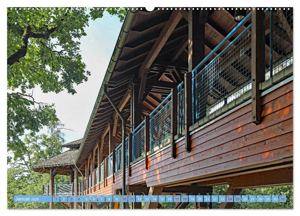 Waldbronn (CALVENDO Premium Wandkalender 2026)