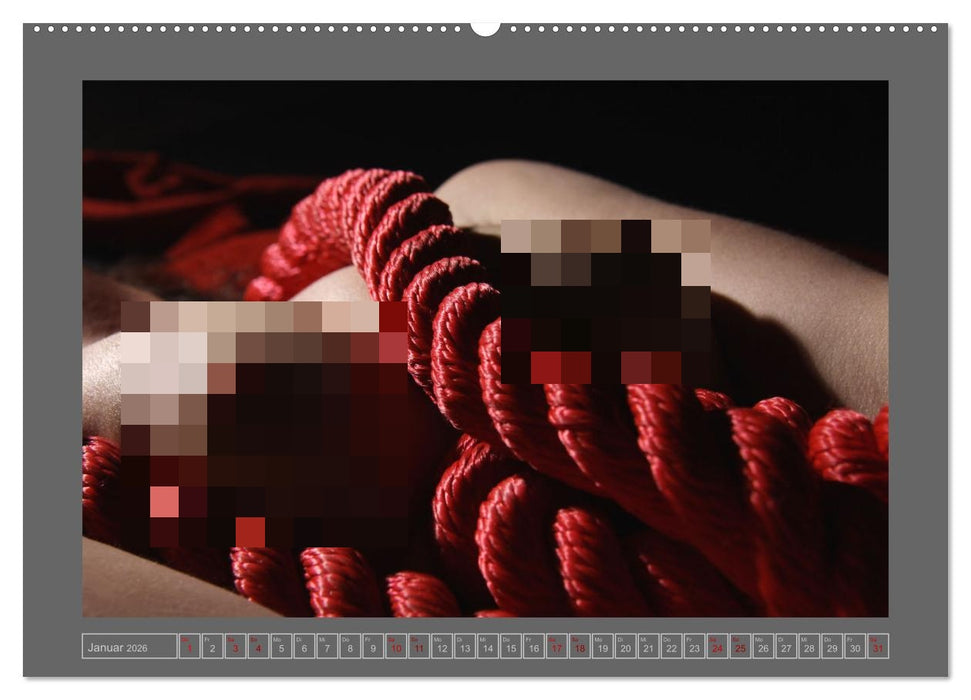 Roter Faden der Erotik (CALVENDO Wandkalender 2026)