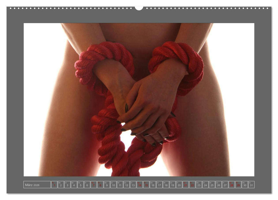 Roter Faden der Erotik (CALVENDO Wandkalender 2026)