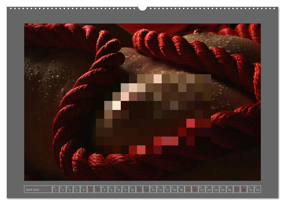 Roter Faden der Erotik (CALVENDO Wandkalender 2026)
