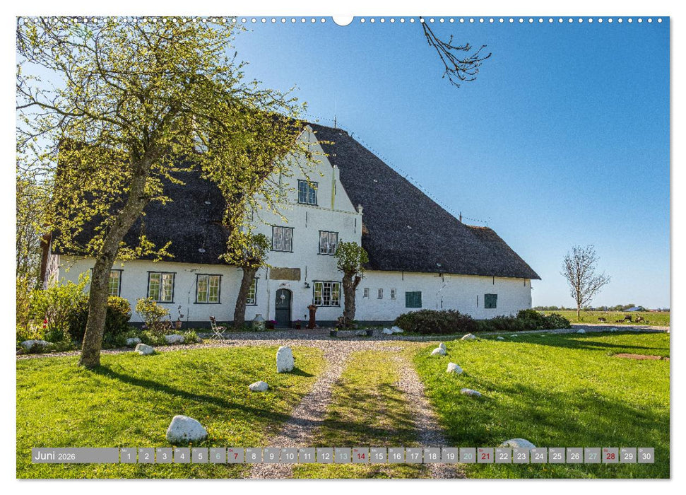In Nordfriesland zuhause (CALVENDO Premium Wandkalender 2026)