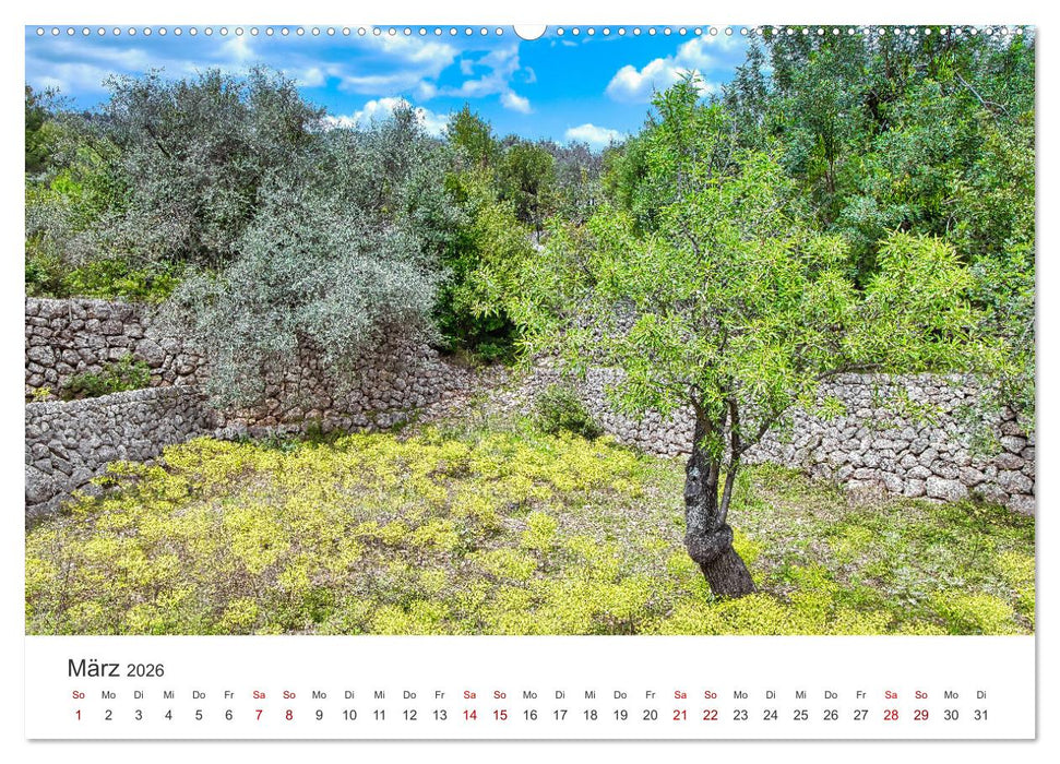 Mallorca Traumhafte Insel (CALVENDO Premium Wandkalender 2026)