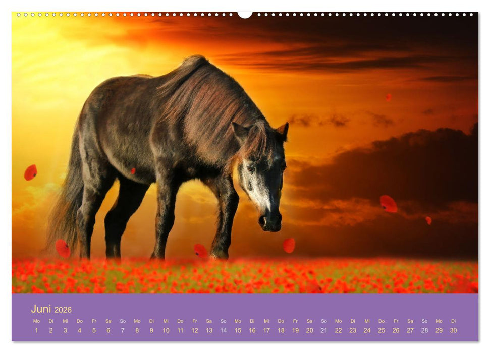 Von der Magie der Pferde (CALVENDO Premium Wandkalender 2026)