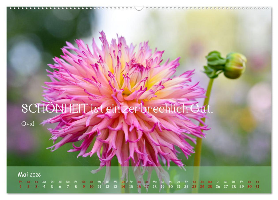 Blütenweisheiten (CALVENDO Premium Wandkalender 2026)