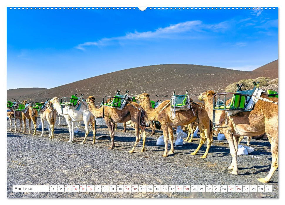 Lanzarote - Wo die Vulkane die Landschaft formten (CALVENDO Premium Wandkalender 2026)