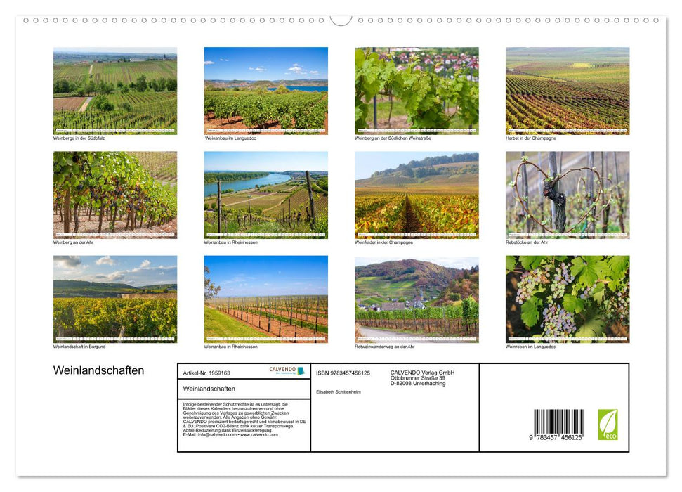 Weinlandschaften (CALVENDO Premium Wandkalender 2026)