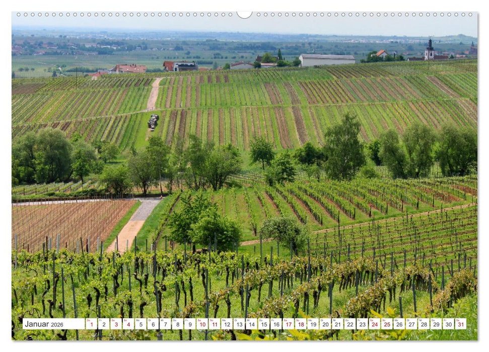 Weinlandschaften (CALVENDO Premium Wandkalender 2026)