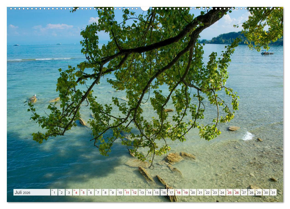 Bodensee - Traumlandschaften am Wasser (CALVENDO Premium Wandkalender 2026)