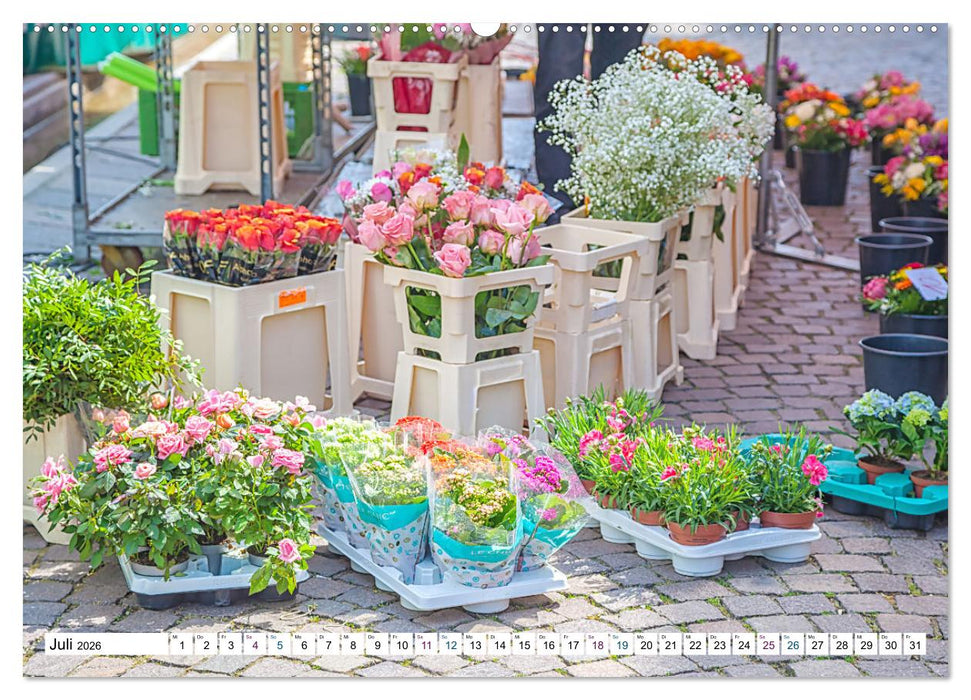 Waldshut - schmuckes Hochrhein Städtle (CALVENDO Premium Wandkalender 2026)