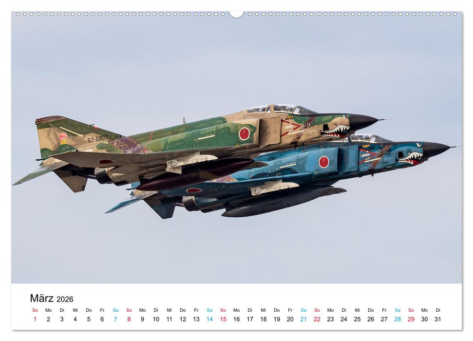 Die letzten McDonnell Douglas F-4 Phantom II (CALVENDO Premium Wandkalender 2026)