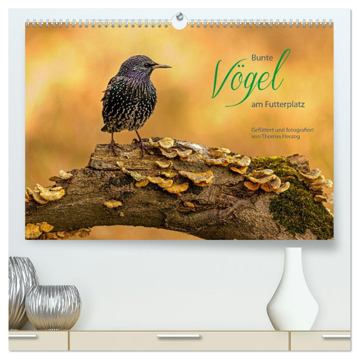 Bunte Vögel am Futterplatz (CALVENDO Premium Wandkalender 2026)