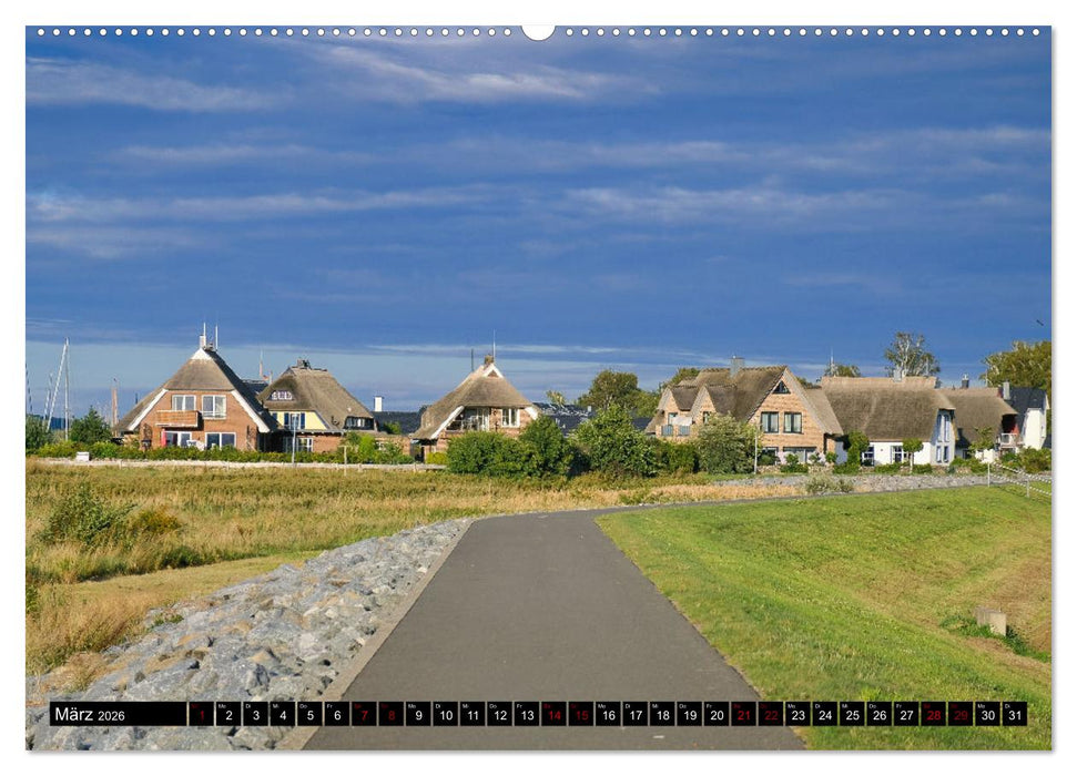 Das Mönchgut und Gager (CALVENDO Premium Wandkalender 2026)