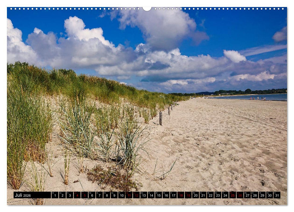 Das Mönchgut und Gager (CALVENDO Premium Wandkalender 2026)