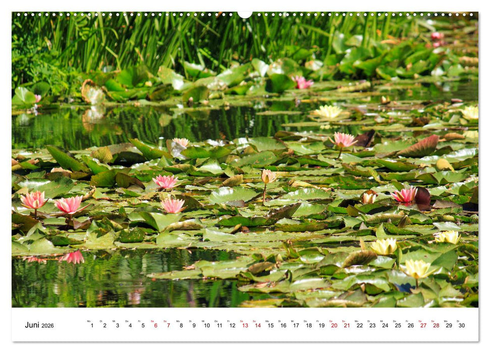 Normandie - zwischen Land und Meer (CALVENDO Premium Wandkalender 2026)