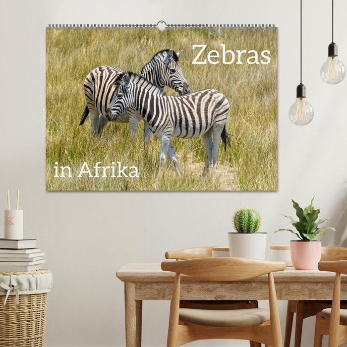 Zebras in Afrika (CALVENDO Wandkalender 2026)