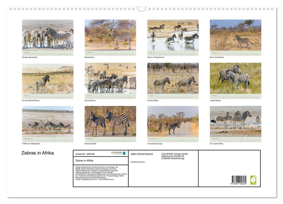 Zebras in Afrika (CALVENDO Wandkalender 2026)