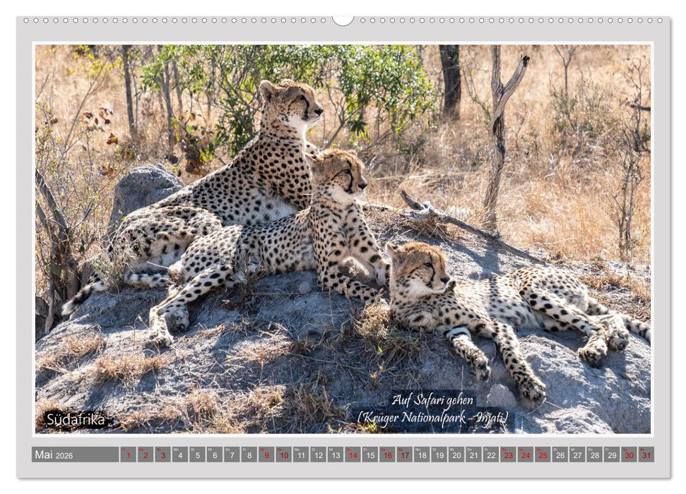 vom Reisen träumen (CALVENDO Premium Wandkalender 2026)