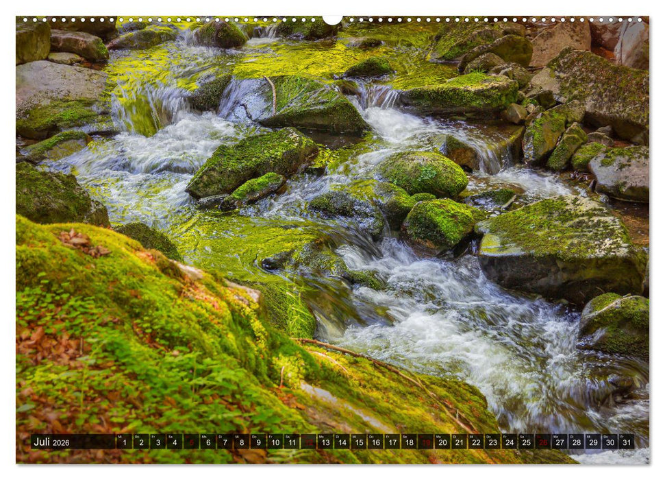 Bewegtes Wasser (CALVENDO Premium Wandkalender 2026)