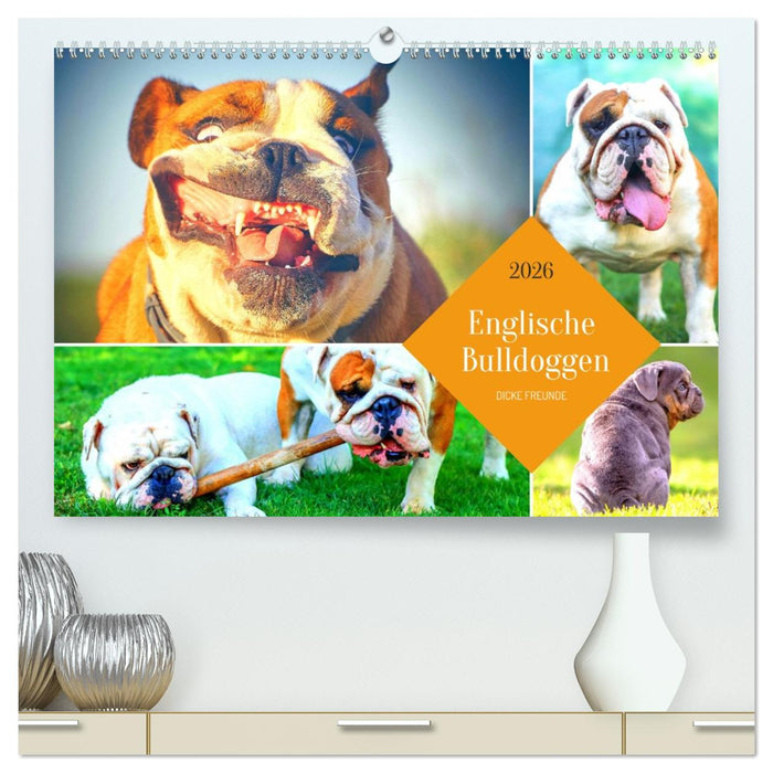 Dicke Freunde. Englische Bulldoggen (CALVENDO Premium Wandkalender 2026)