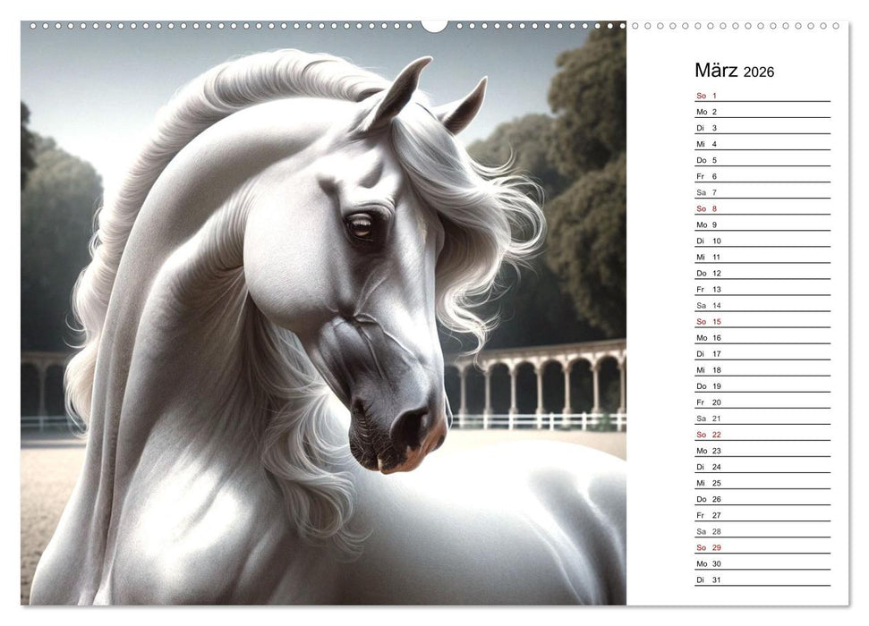Pferde - die Schönheit edler Pferderassen (CALVENDO Wandkalender 2026)