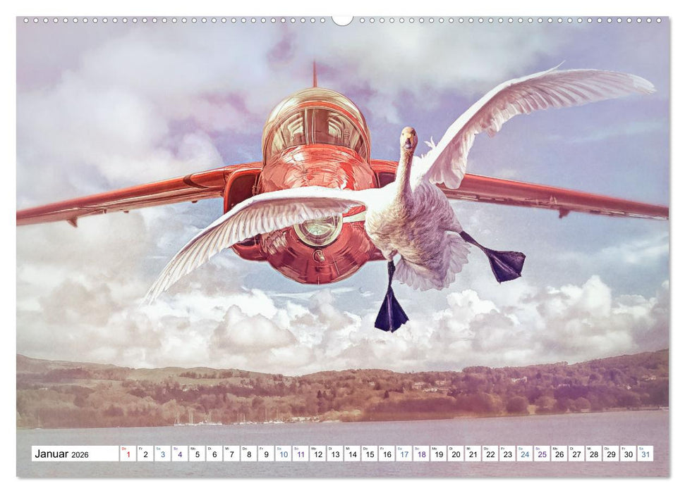 Fliegen, Fliegen - humorvolle Montagen (CALVENDO Premium Wandkalender 2026)