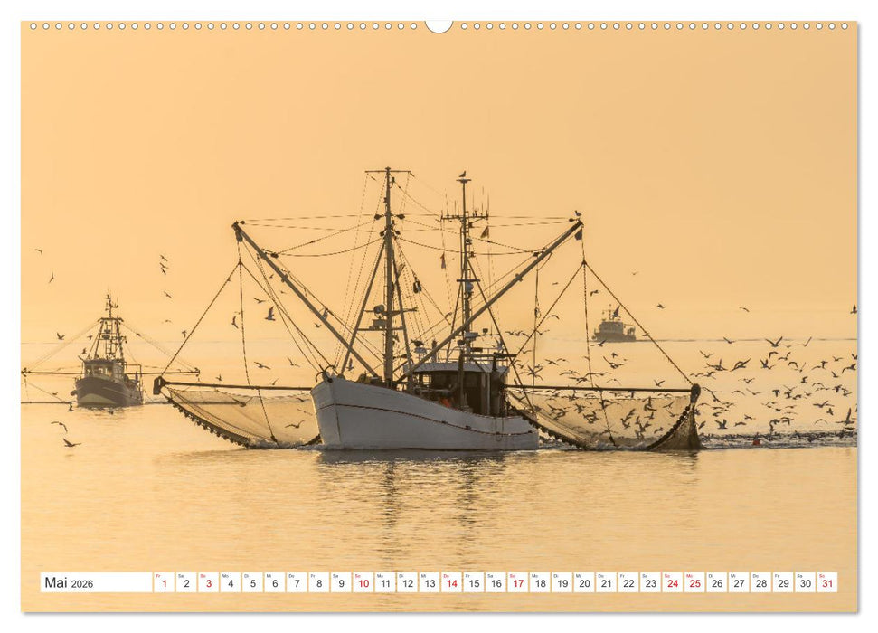 Schleswig-Holstein (CALVENDO Premium Wandkalender 2026)