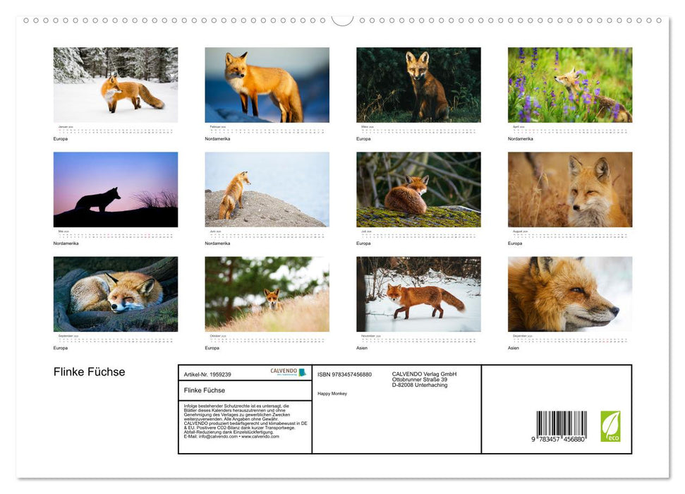 Flinke Füchse (CALVENDO Premium Wandkalender 2026)