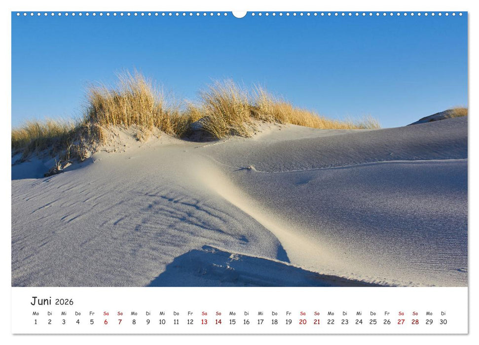 Insel Träumereien (CALVENDO Premium Wandkalender 2026)