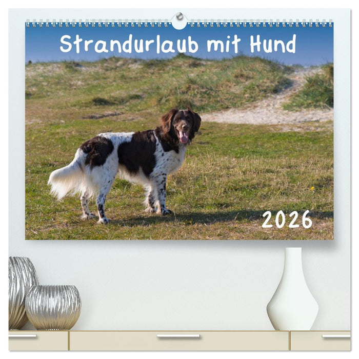 Strandurlaub mit Hund (CALVENDO Premium Wandkalender 2026)
