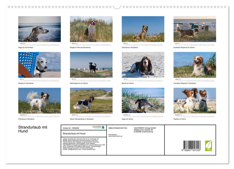 Strandurlaub mit Hund (CALVENDO Premium Wandkalender 2026)