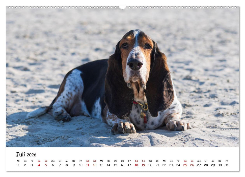 Strandurlaub mit Hund (CALVENDO Premium Wandkalender 2026)